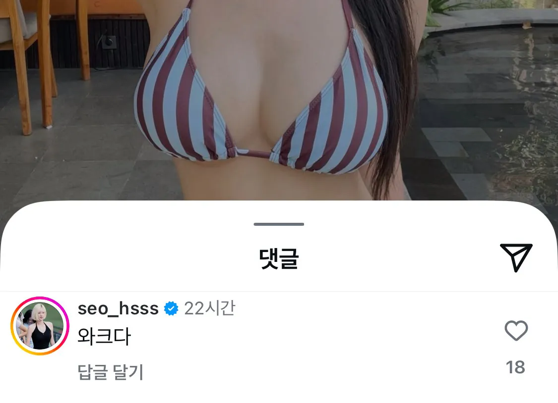 비키니 사진 올린 치어리더 그리고 댓글ㅋㅋㅋ