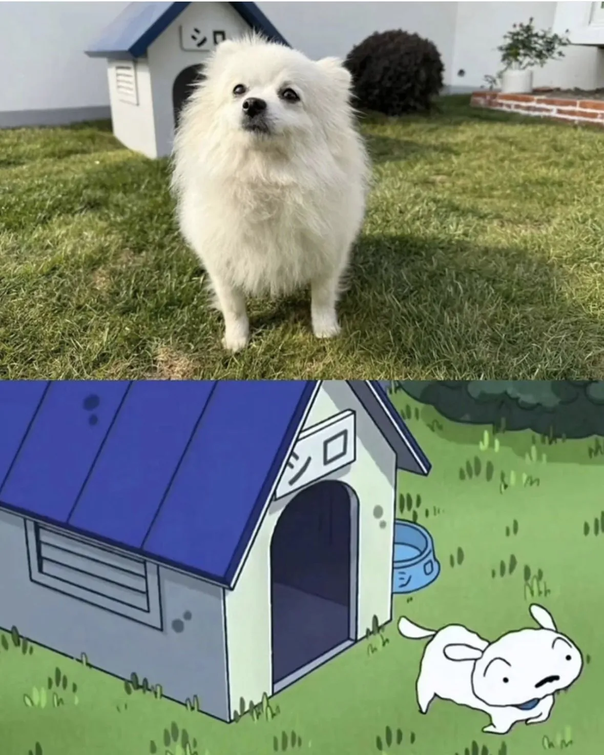 애니 속 짱구네 집이 현실로