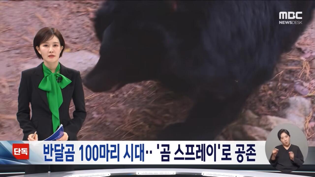 지리산 숲속에서 힐링 중인 반달곰