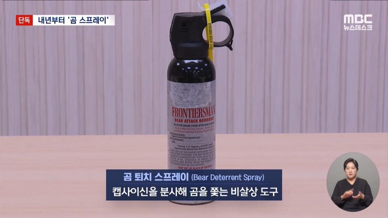 지리산 숲속에서 힐링 중인 반달곰