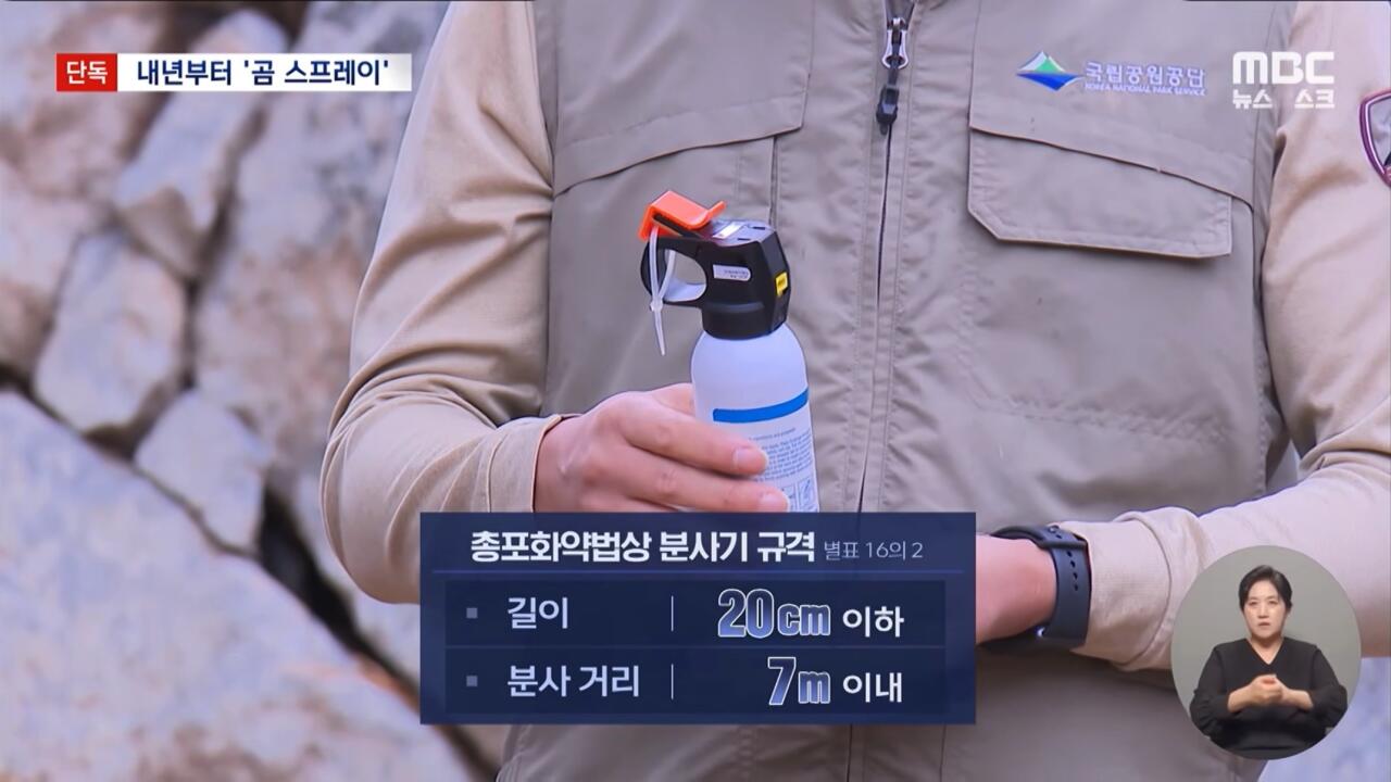 지리산 숲속에서 힐링 중인 반달곰