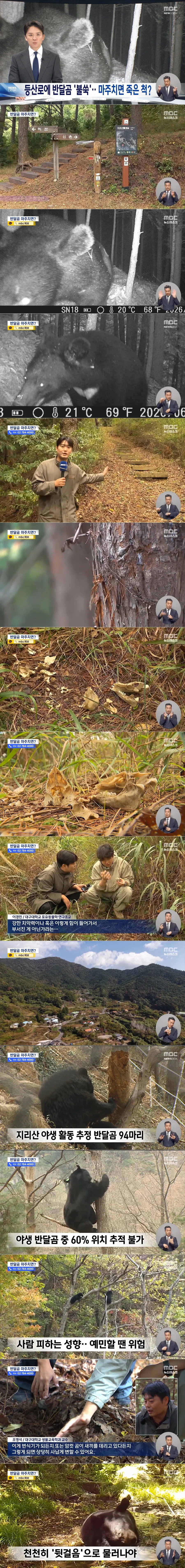 지리산 반달가슴곰 충격적인 포착 영상