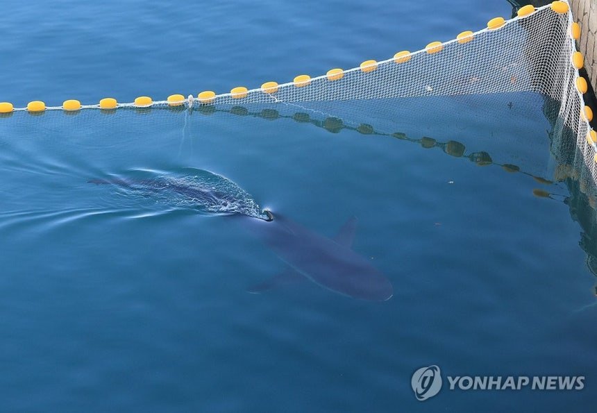 부캉이 잘 가라 ㅠㅠ