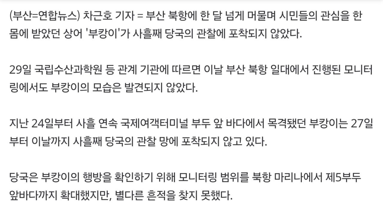 부캉이 잘 가라 ㅠㅠ