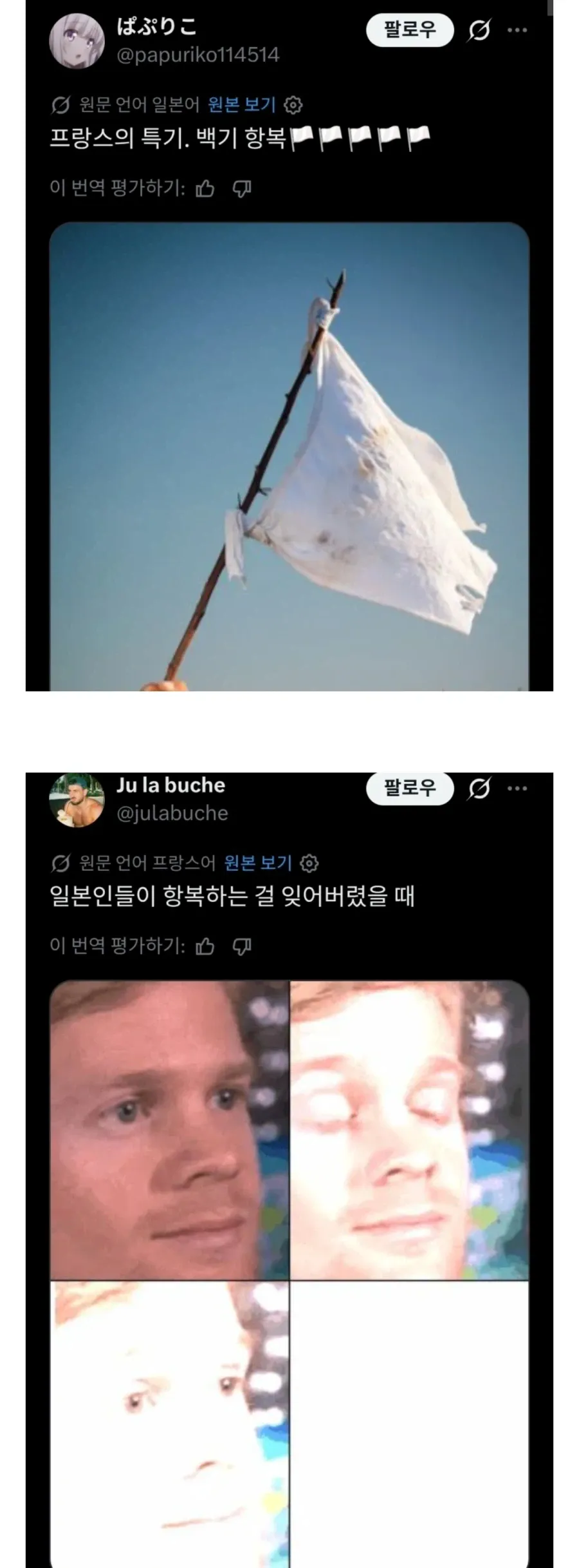 프랑스 긁었다가 뼈도 못 추린 일본 트위터리안